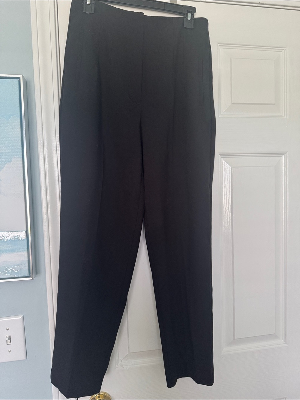 Zara Women’s Black Pants